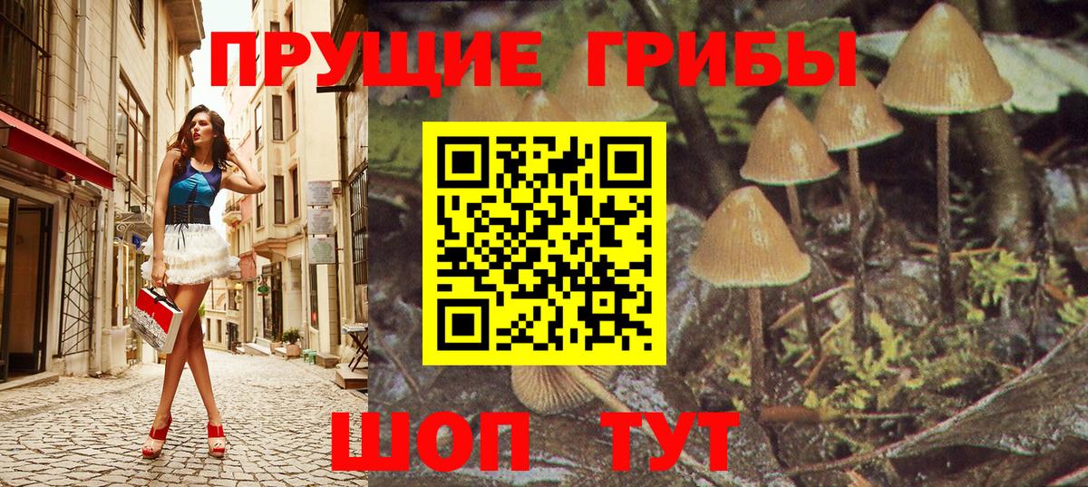 Псилоцибиновые грибы ЛСД  Галлюциногенные грибы Psilocybe  Вход с VPN  Лениногорск 